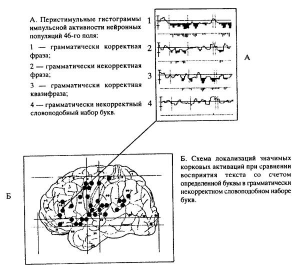 Нейрофизиологические механизмы речи схема